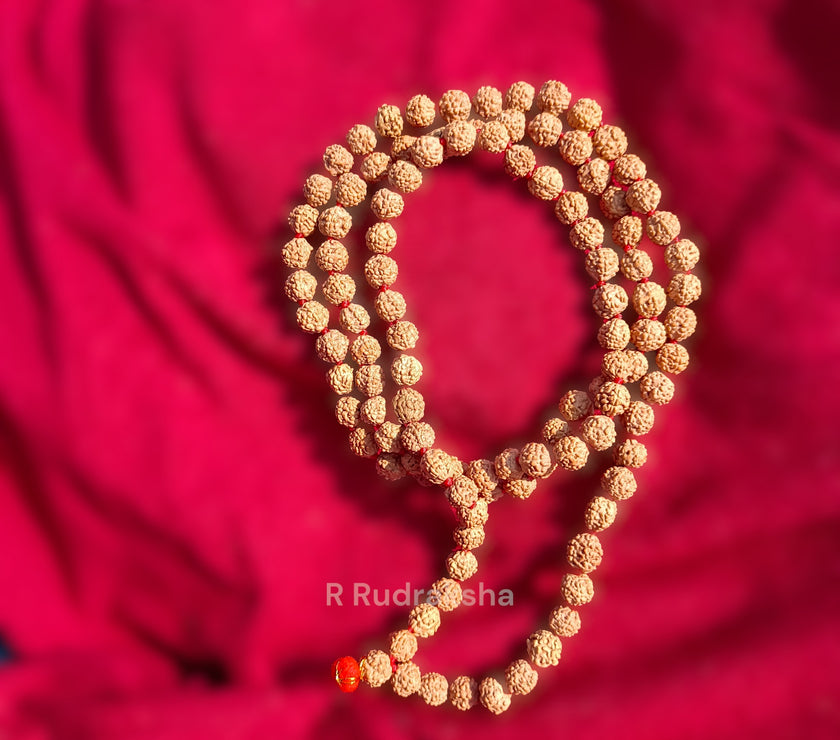 Lab Certified 9 Mukhi Rudraksha Mala