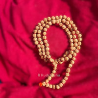 Lab Certified 9 Mukhi Rudraksha Mala