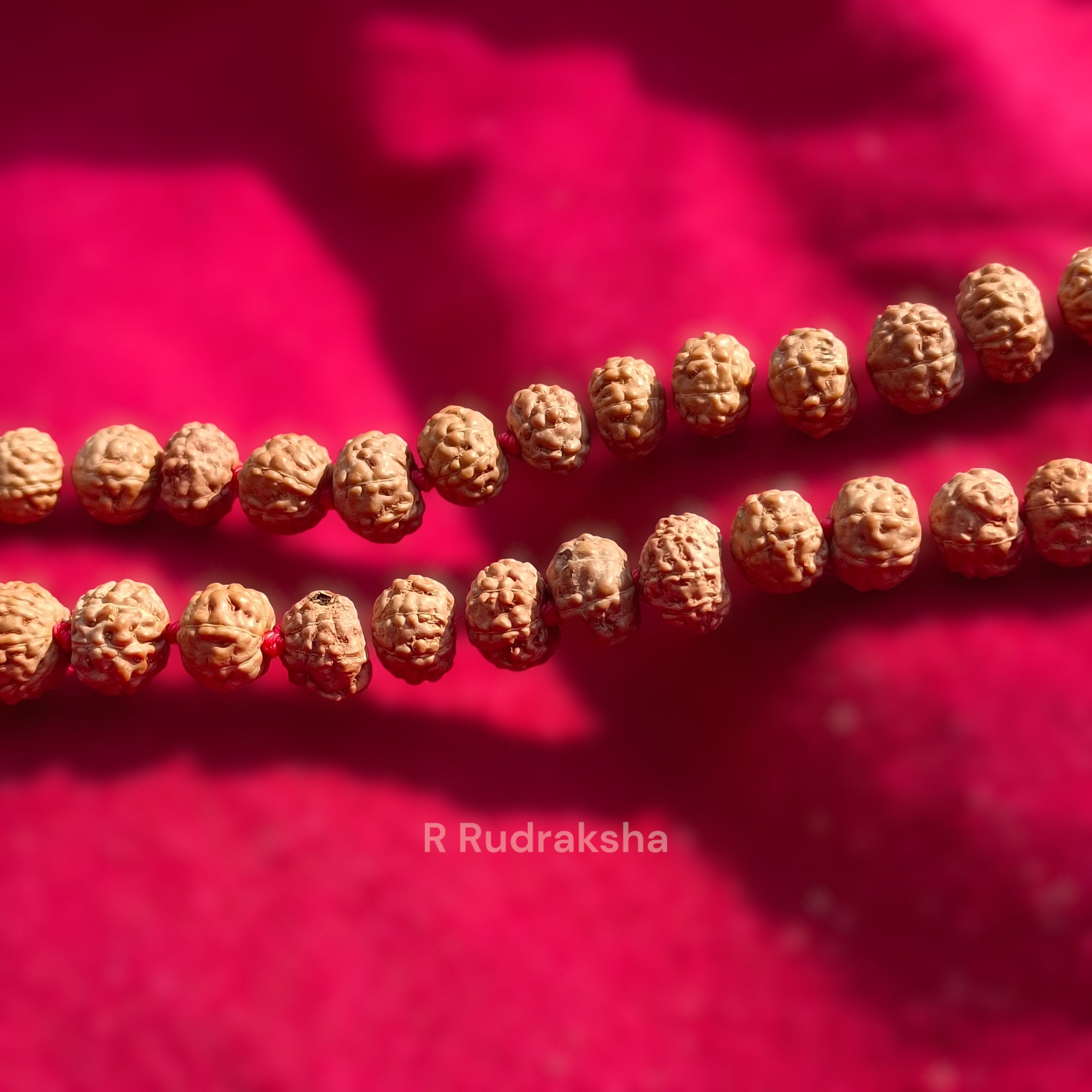 Mull Reksha Lab Certified 5 Mukhi Rudraksha Mala Natural Color