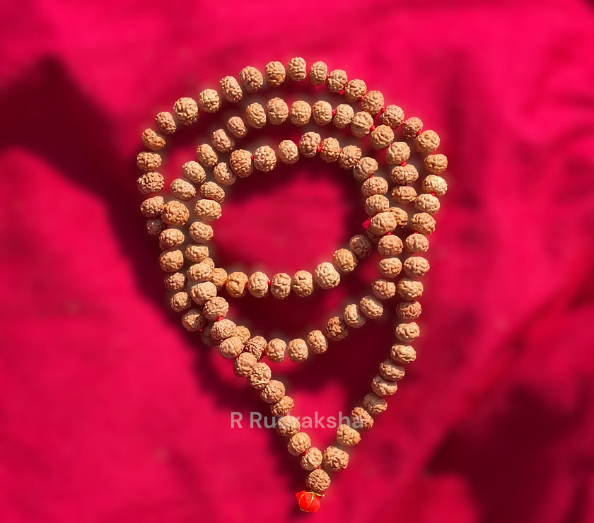 Lab Certified 9 Mukhi Rudraksha Mala