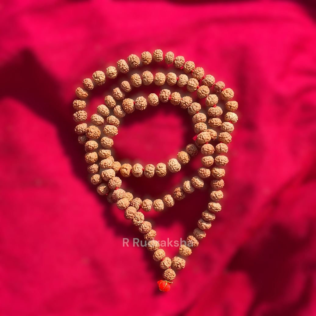 Lab Certified 9 Mukhi Rudraksha Mala