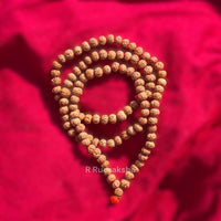 Lab Certified 9 Mukhi Rudraksha Mala