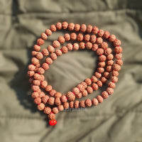 Lab Certified 10 Mukhi Rudraksha Mala