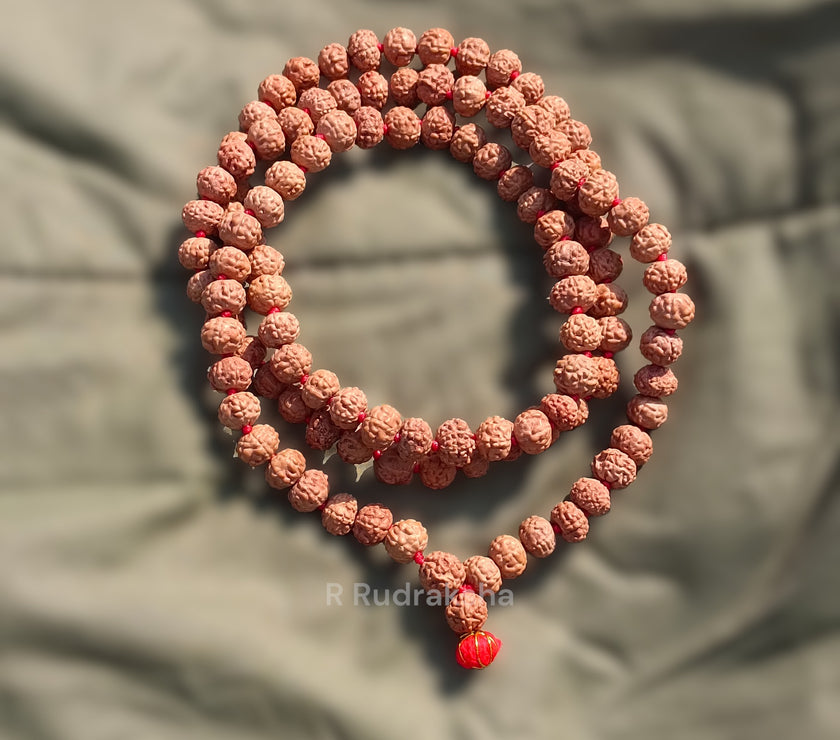 Lab Certified 10 Mukhi Rudraksha Mala