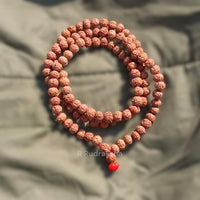 Lab Certified 10 Mukhi Rudraksha Mala