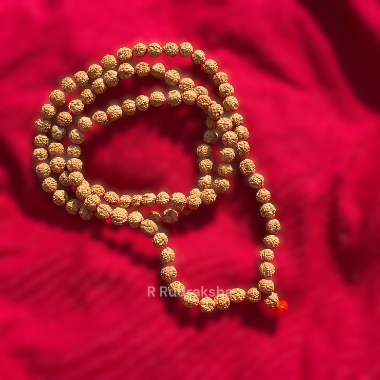 Lab Certified 7 Mukhi Rudraksha Mala