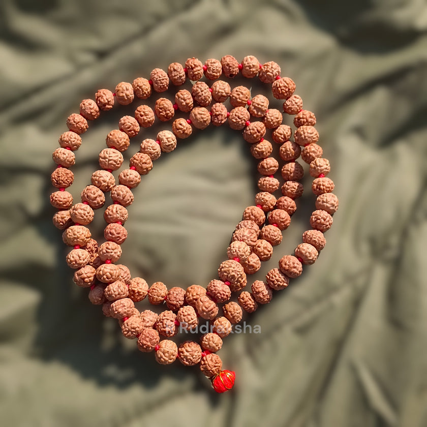 Lab Certified 11 Mukhi Rudraksha Mala