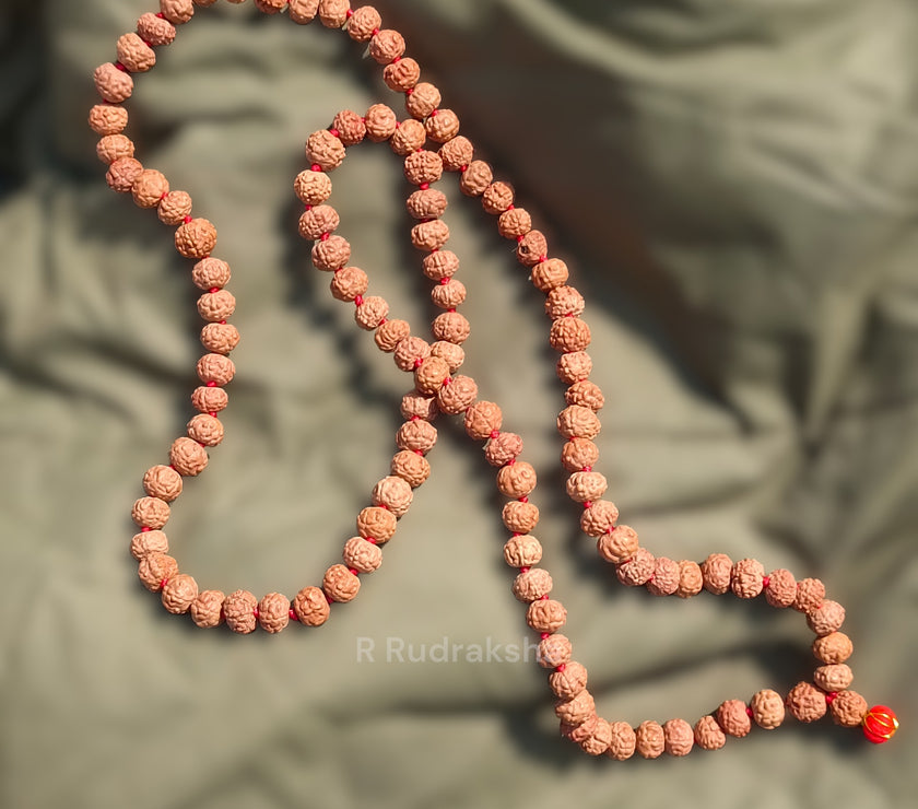 Lab Certified 5 Mukhi Rudraksha Mala Natural Color