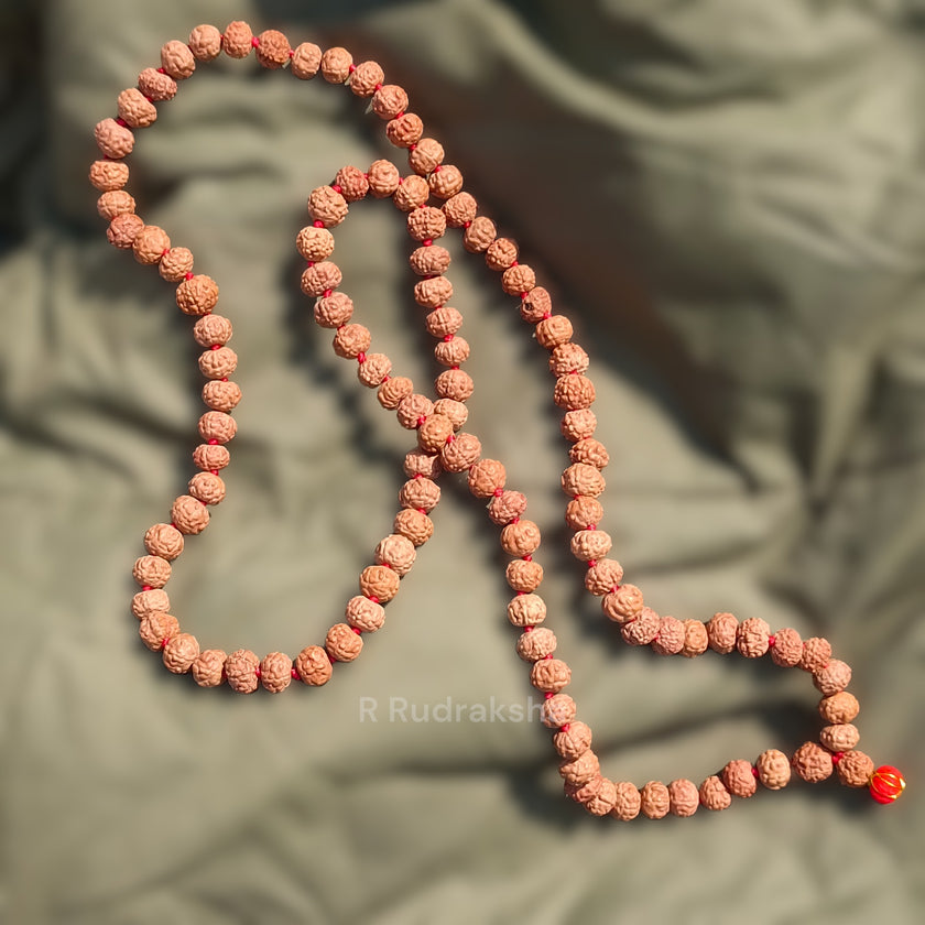 Lab Certified 5 Mukhi Rudraksha Mala Natural Color