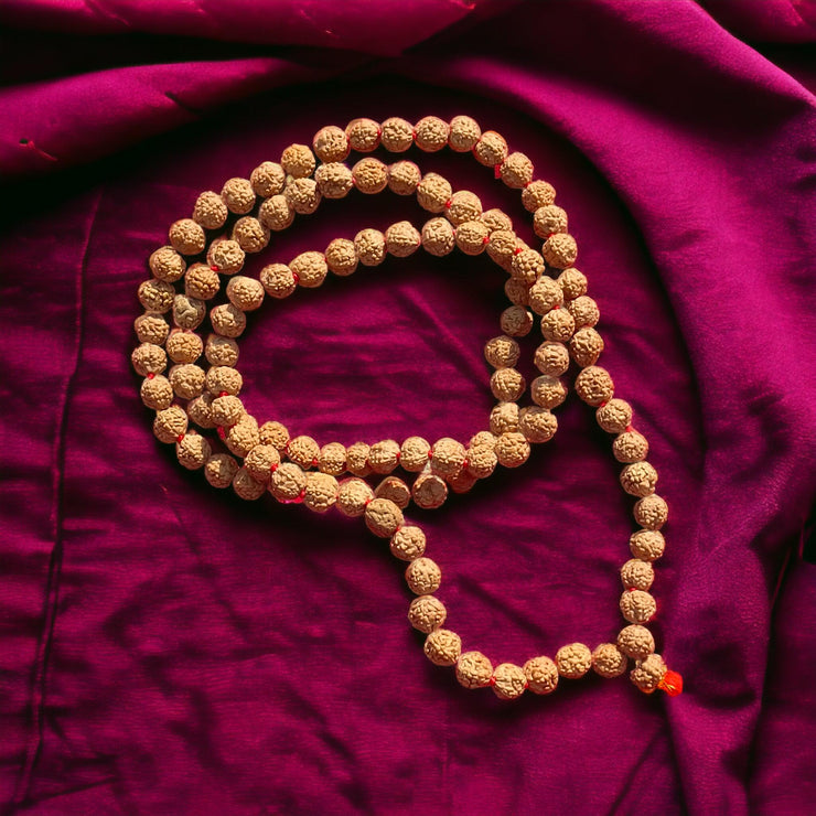 Lab Certified 4 Mukhi Rudraksha Mala