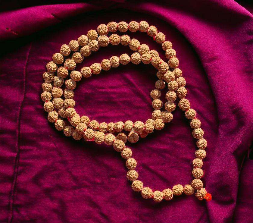 Lab Certified 4 Mukhi Rudraksha Mala