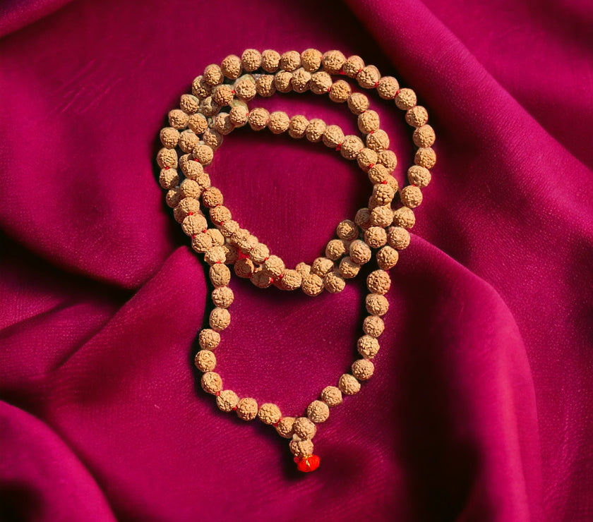 Lab Certified 4 Mukhi Rudraksha Mala