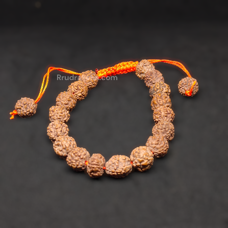 Java 5 Mukhi Rudraksha Free Size Bracelet