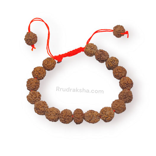 Java 5 Mukhi Rudraksha Free Size Bracelet