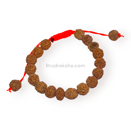 Java 5 Mukhi Rudraksha Free Size Bracelet