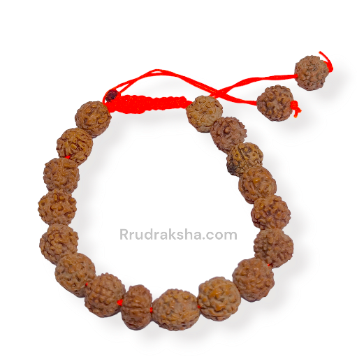 Java 6 Mukhi Rudraksha Free Size Bracelet