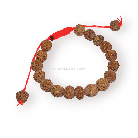 Java 6 Mukhi Rudraksha Free Size Bracelet