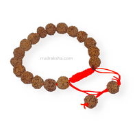 Java 6 Mukhi Rudraksha Free Size Bracelet