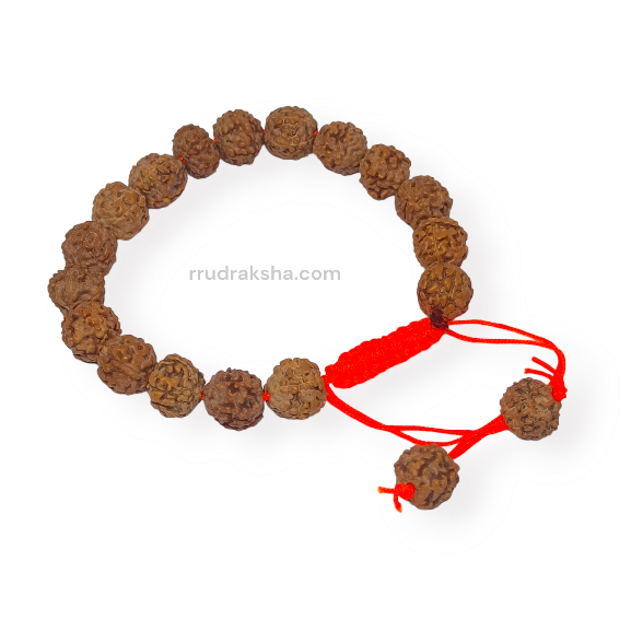 Java 7 Mukhi Rudraksha Free Size Bracelet