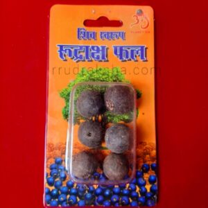 Rudraksha Natural Fruits