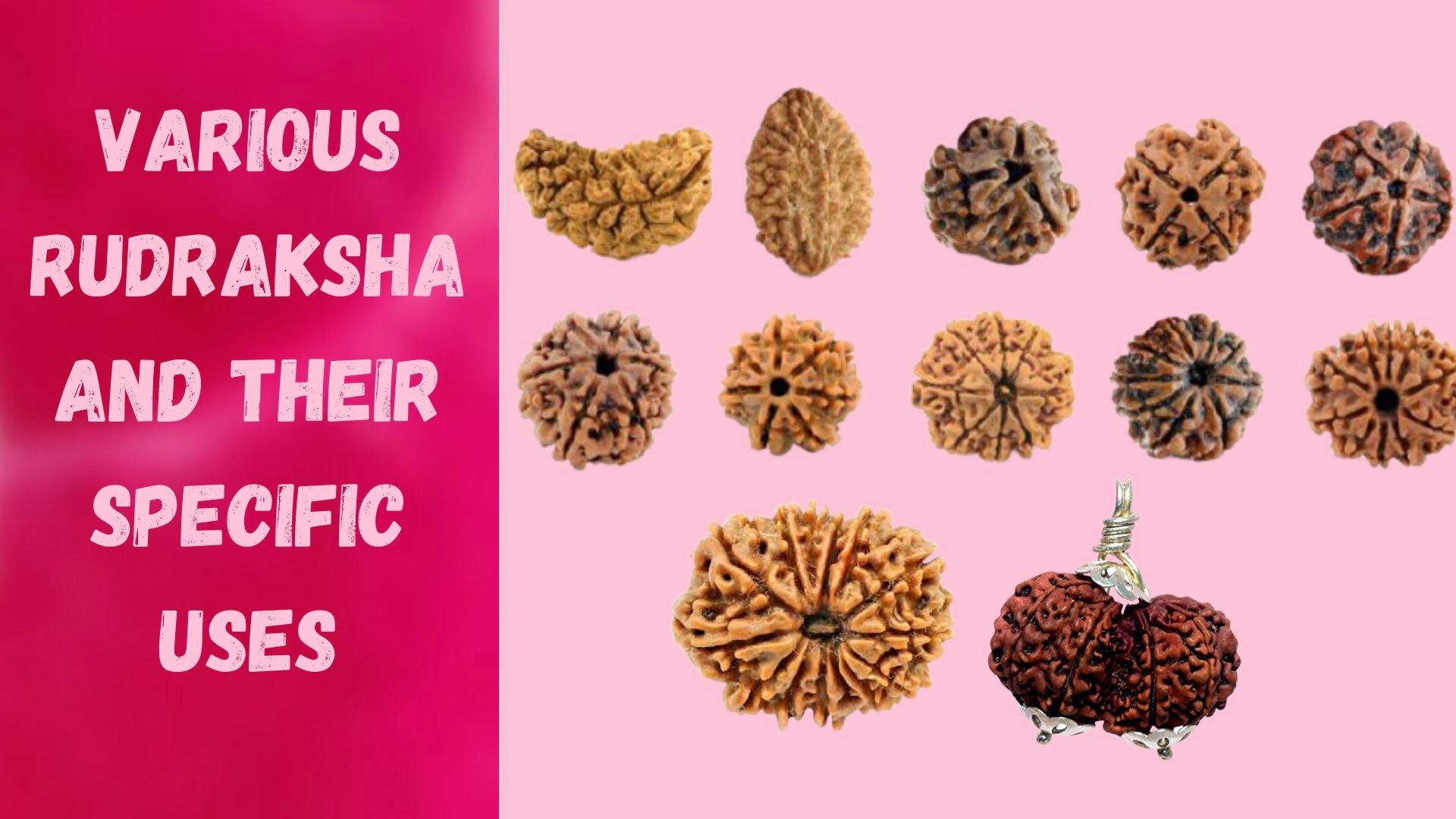 VARIOUS RUDRAKSHA AND THEIR SPECIFIC USES