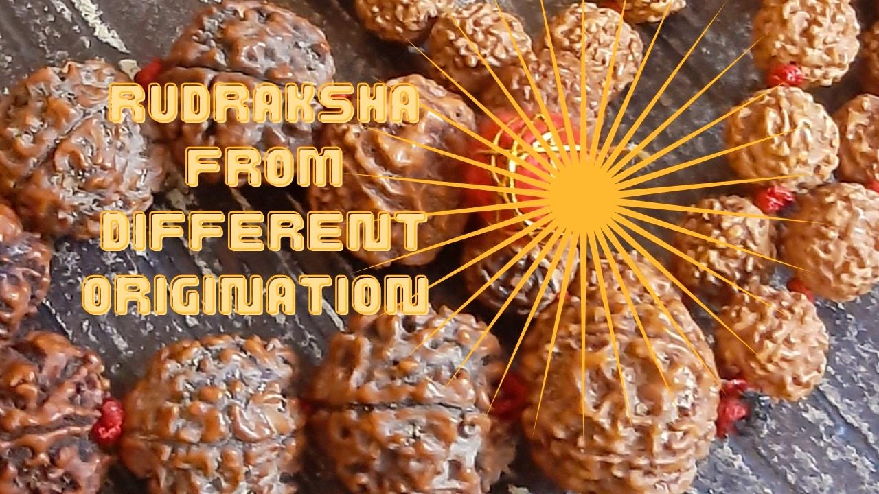 Read more about the article Rudraksha From Various Origination