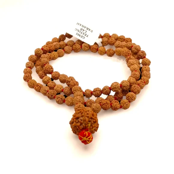 Nepali 7 Mukhi Rudraksha String With Punchmukhi Rudraksha Mala - Image 2